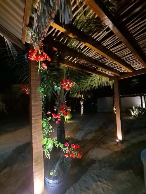 Pousada Calu Barra Grande  Extérieur photo